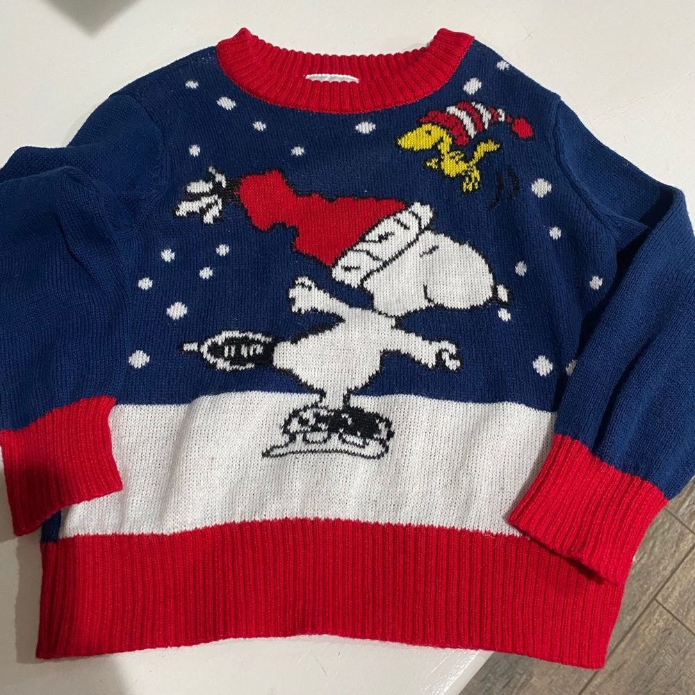 Peanuts Snoopy on ice knitted sweater